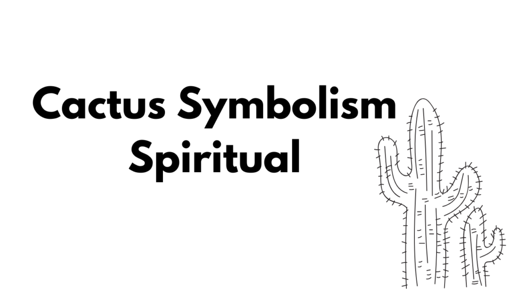Cactus Spiritual Meaning and Symbolism

