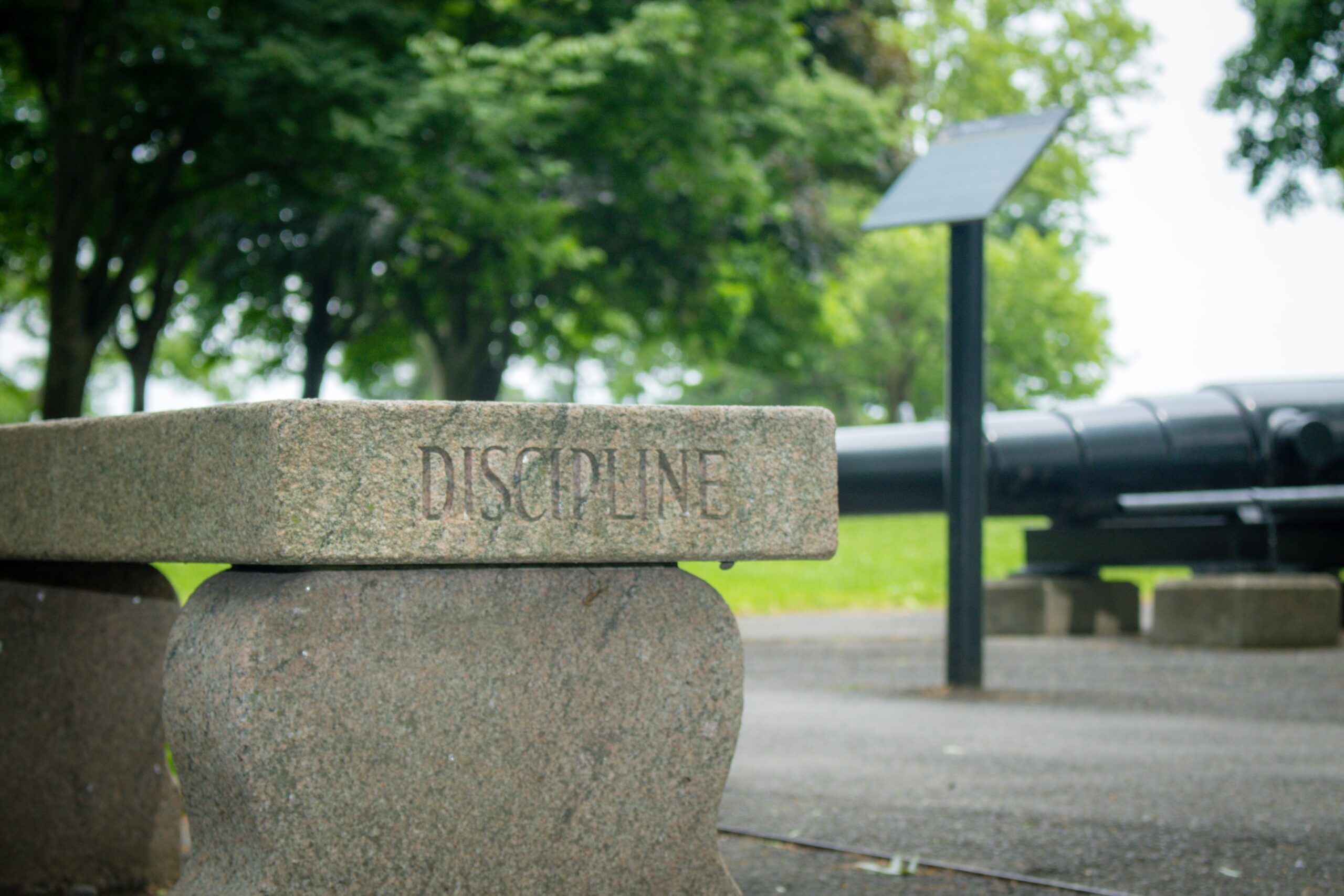 Motivational Quotes for Discipline